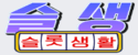 슬롯생활